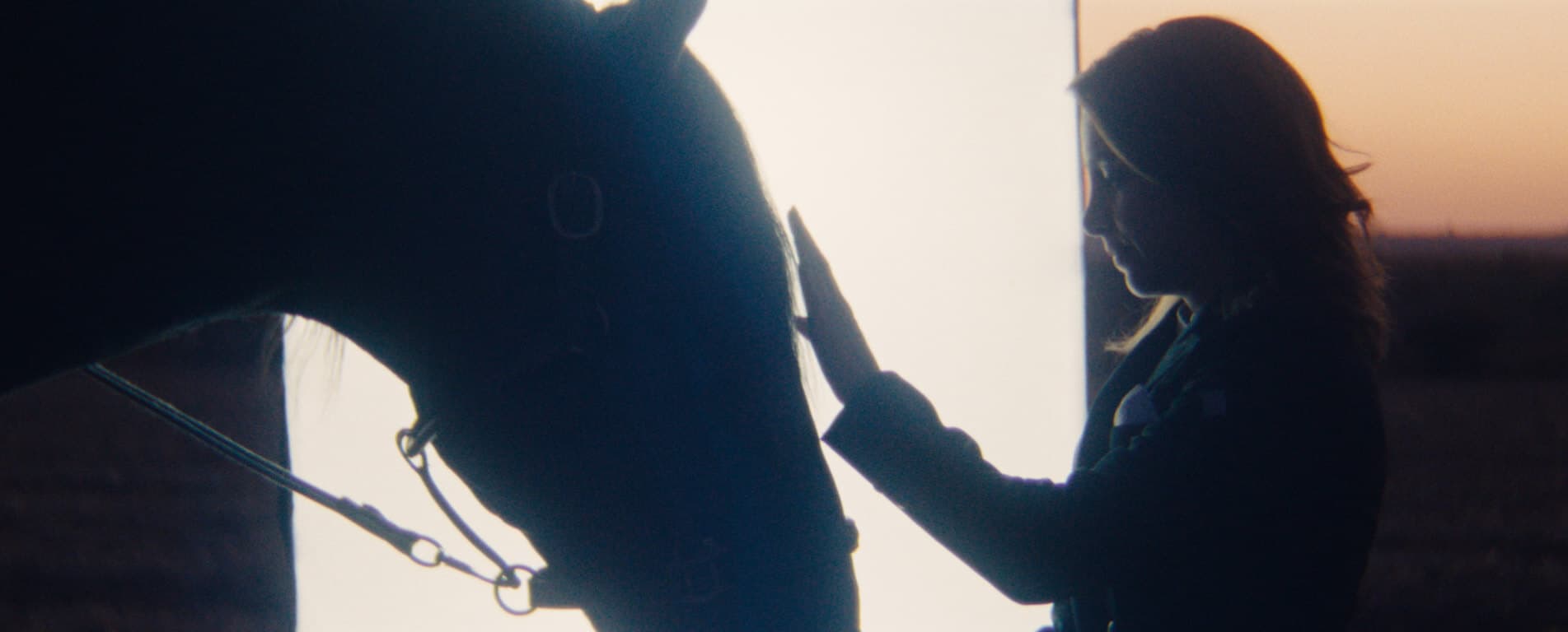 El renacer de una raza