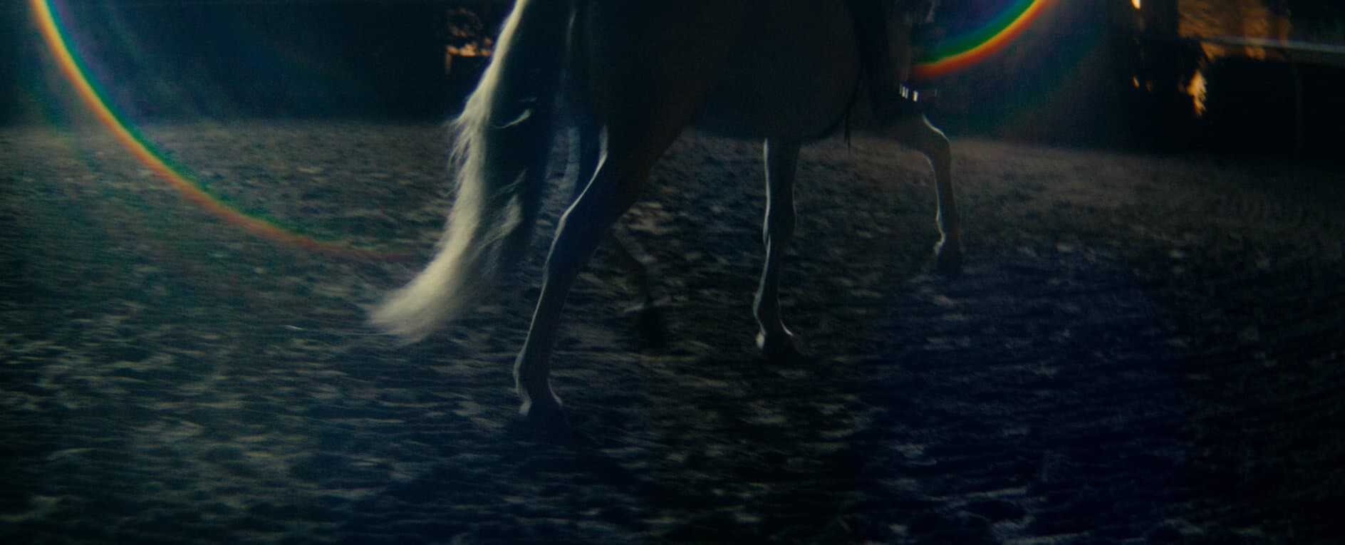 El renacer de una raza