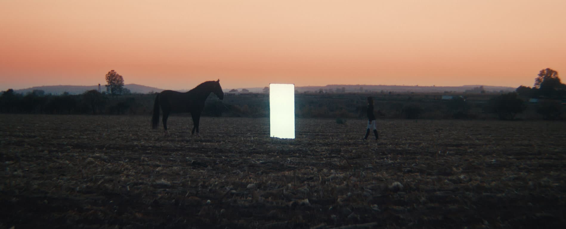 El renacer de una raza