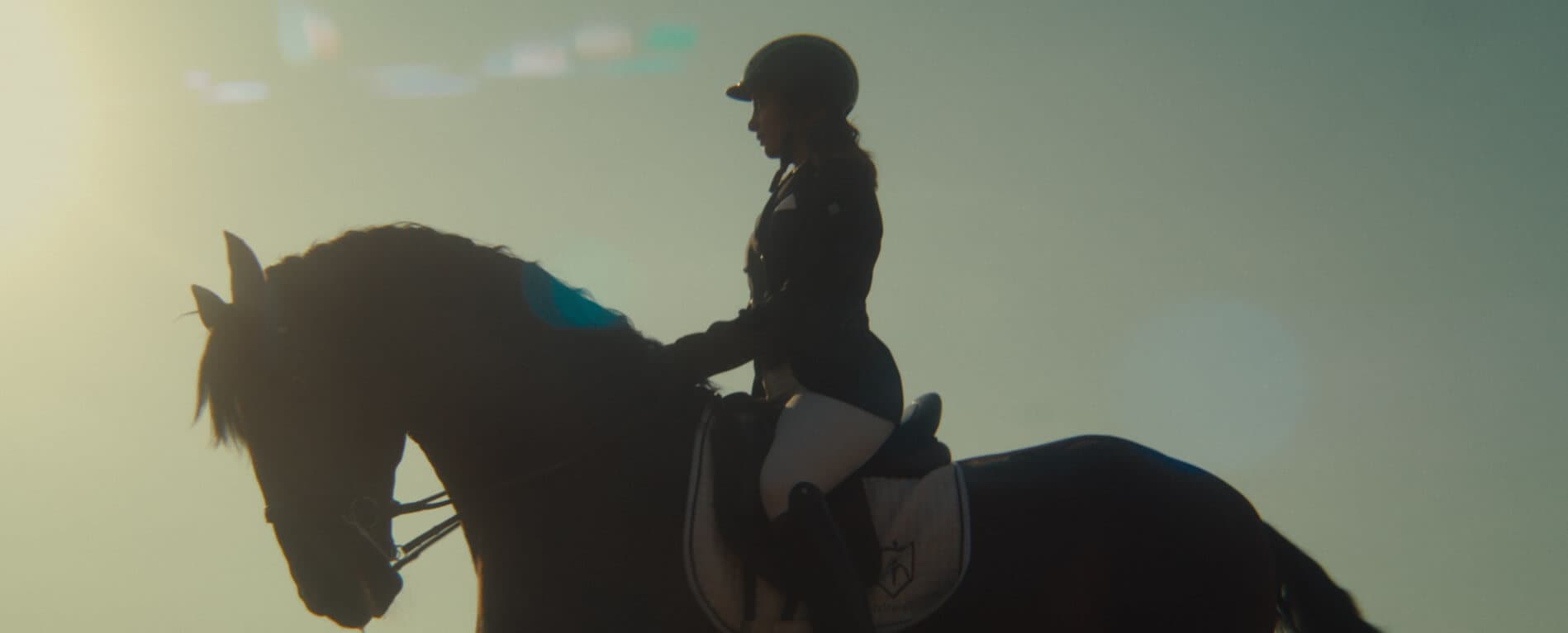 El renacer de una raza