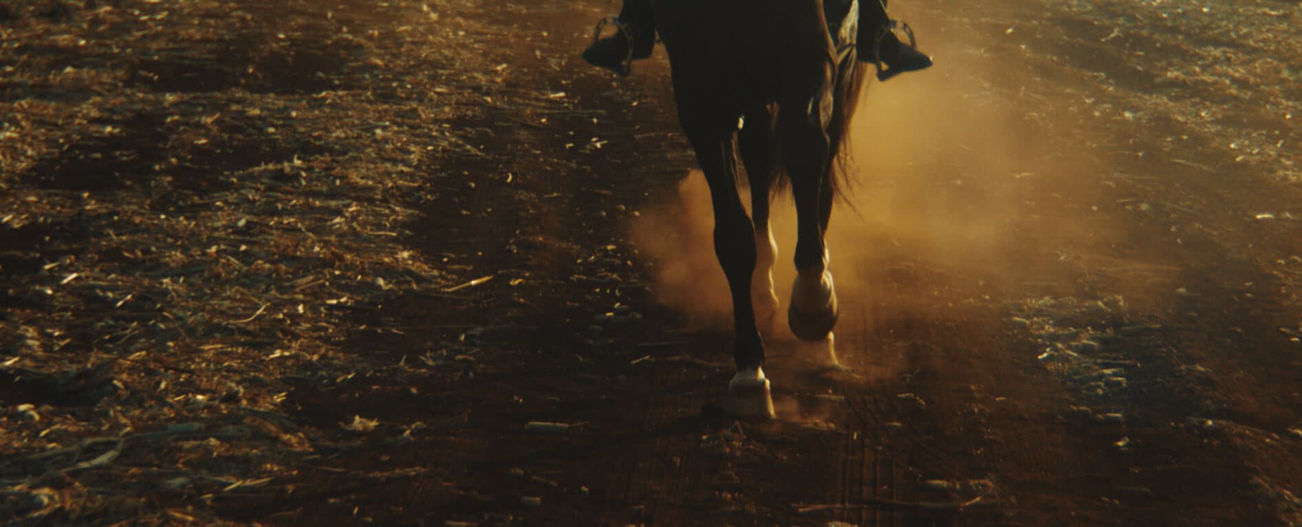 El renacer de una raza