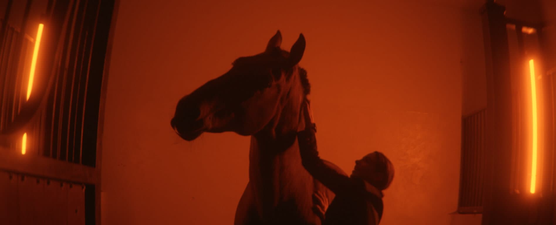 El renacer de una raza