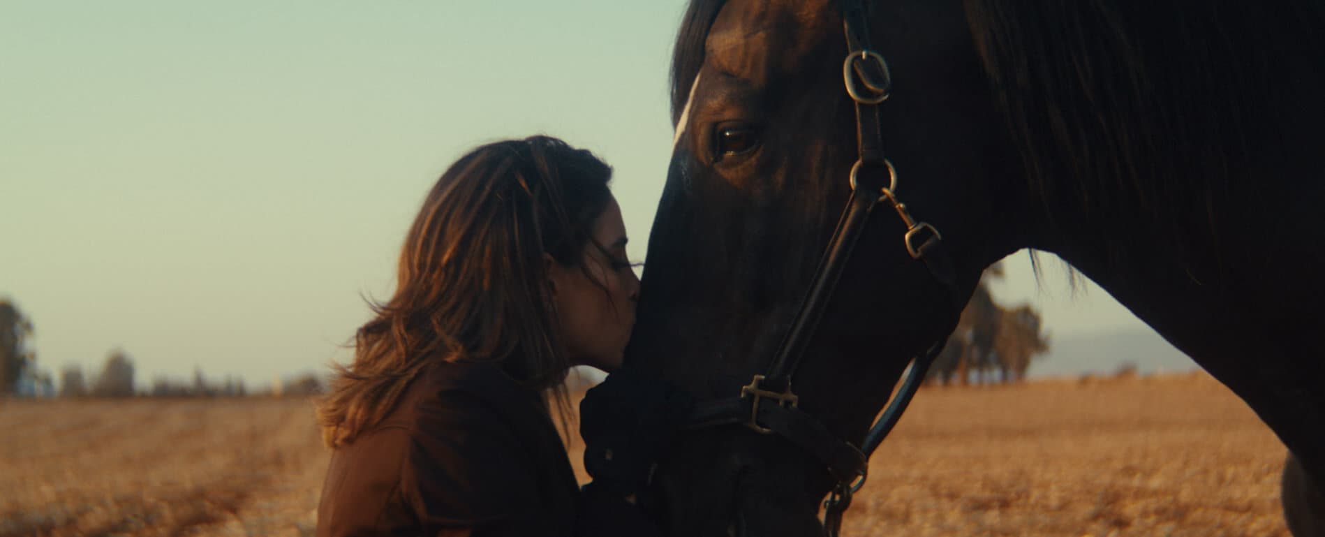 El renacer de una raza